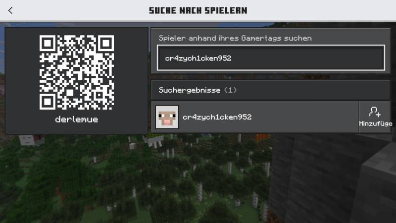 bedrock-connect-12.jpg bedrock-connect-12.jpg